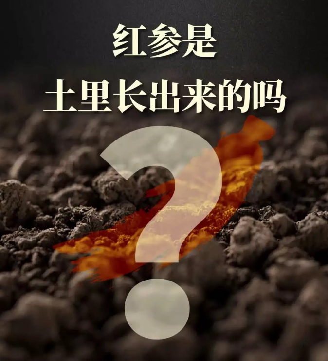 微信圖片_20191213152004.png